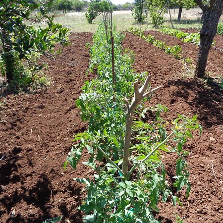 Agroturismo Na Set Centes - Adults Only Arta Bagian luar foto