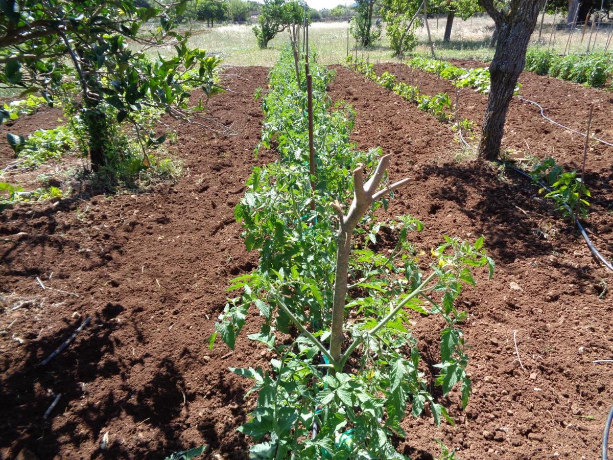Agroturismo Na Set Centes - Adults Only Arta Bagian luar foto