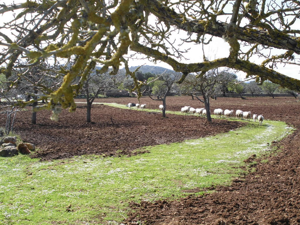 Agroturismo Na Set Centes - Adults Only Arta Bagian luar foto