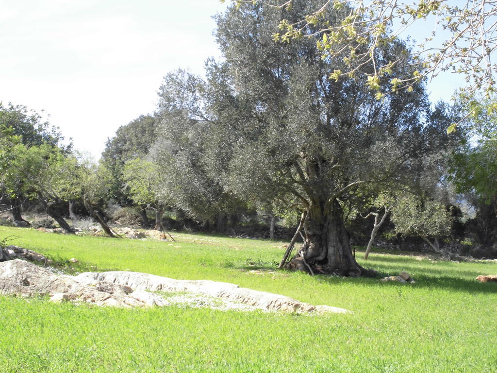 Agroturismo Na Set Centes - Adults Only Arta Bagian luar foto
