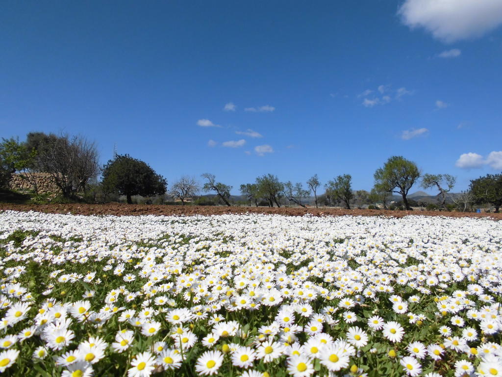 Agroturismo Na Set Centes - Adults Only Arta Bagian luar foto