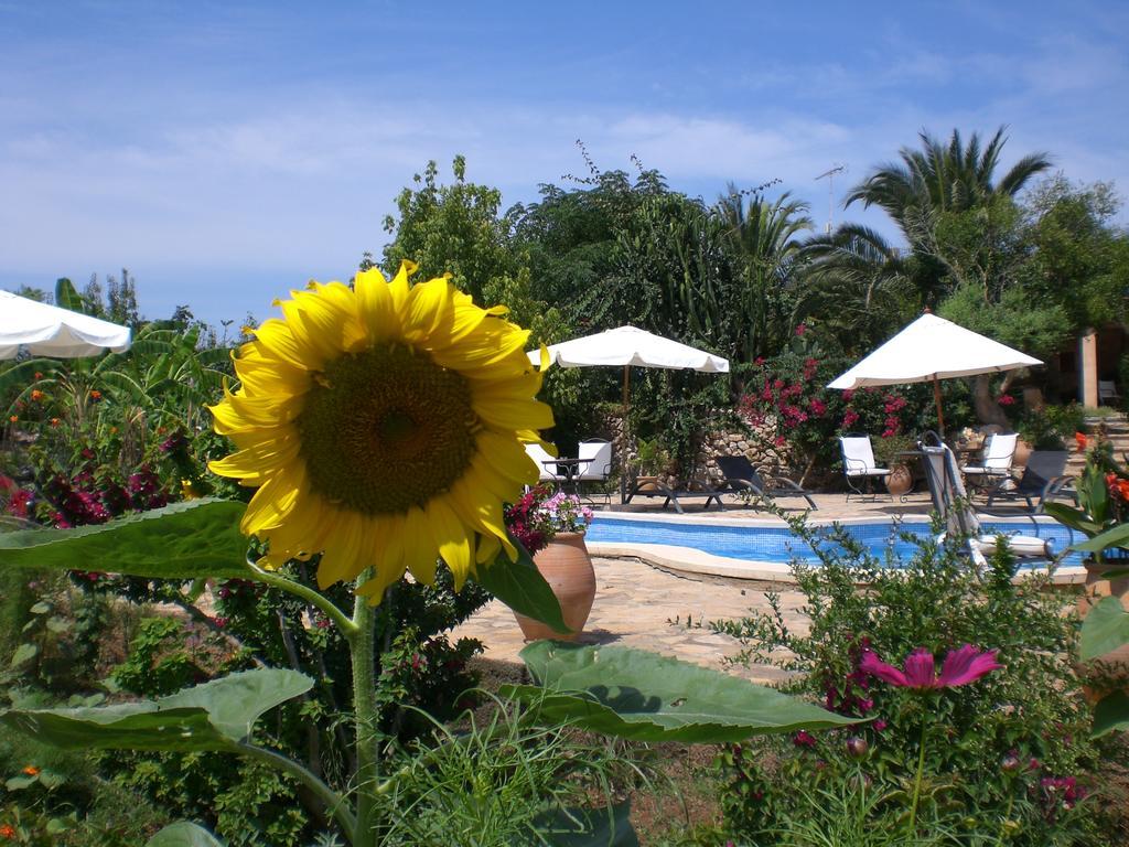 Agroturismo Na Set Centes - Adults Only Arta Bagian luar foto